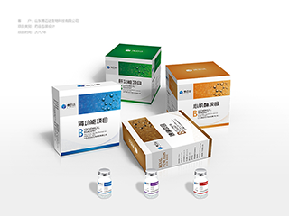 山东博迈达生物科技有限公司药品包装设计